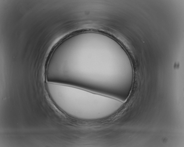 X0000097620791200802290819