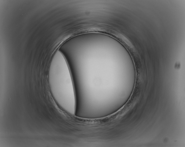X0000097620793200802290819