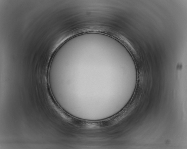 X0000097620794200802290819