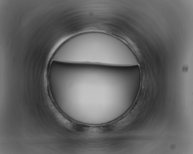 X0000097620796200802290819