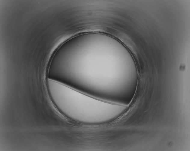 X0000097620797200802290819