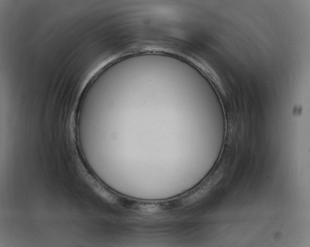 X0000097620798200802290819