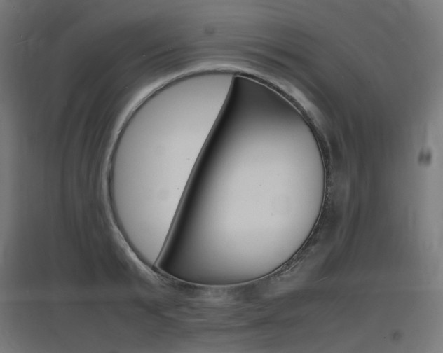X0000097620799200802290819