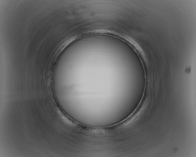 X0000097620801200802290819
