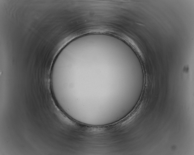 X0000097620802200802290819