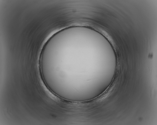 X0000097620803200802290819