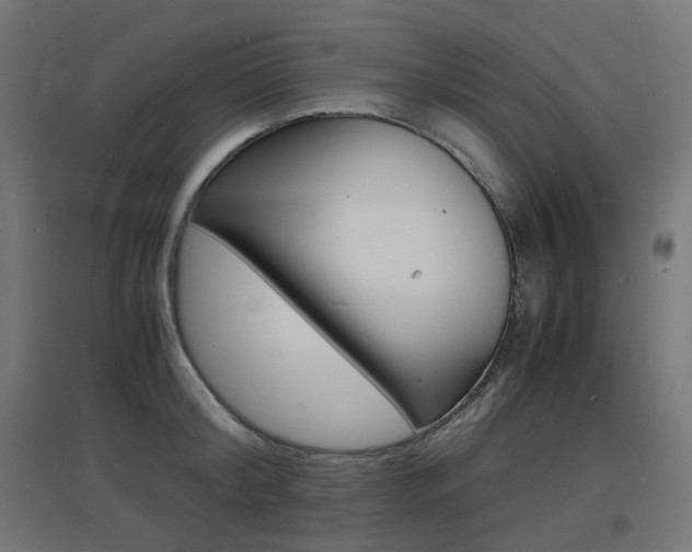 X0000097620804200802290819