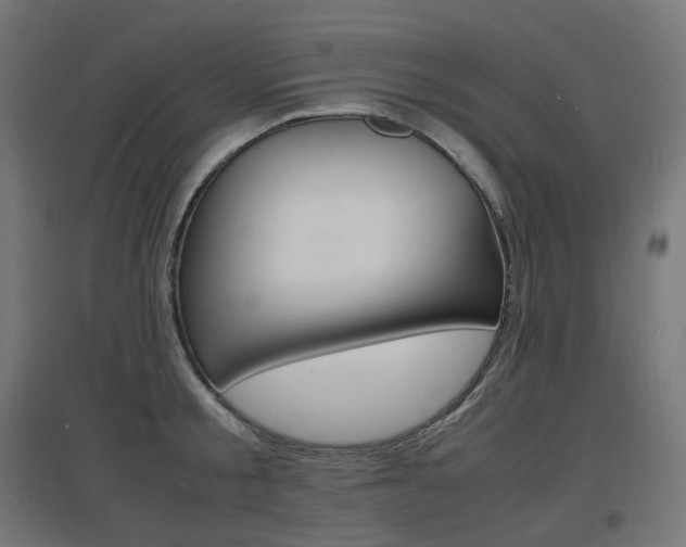 X0000097620805200802290819