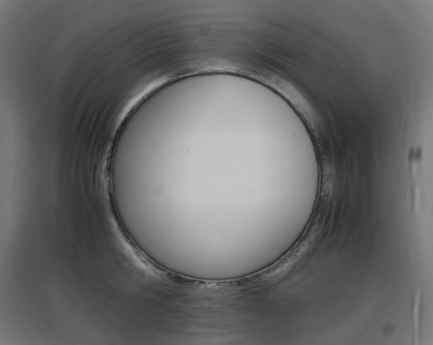 X0000097620806200802290819