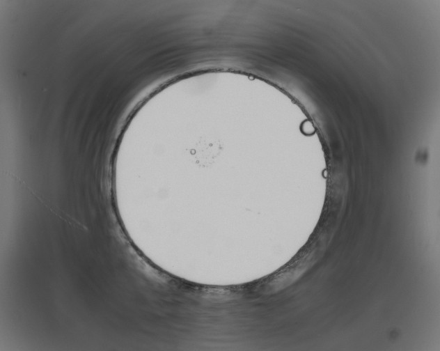 X0000097620807200802290819