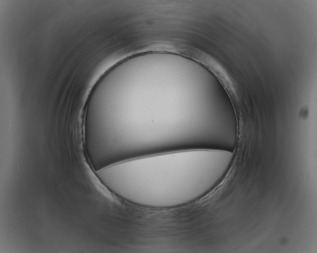 X0000097620808200802290819