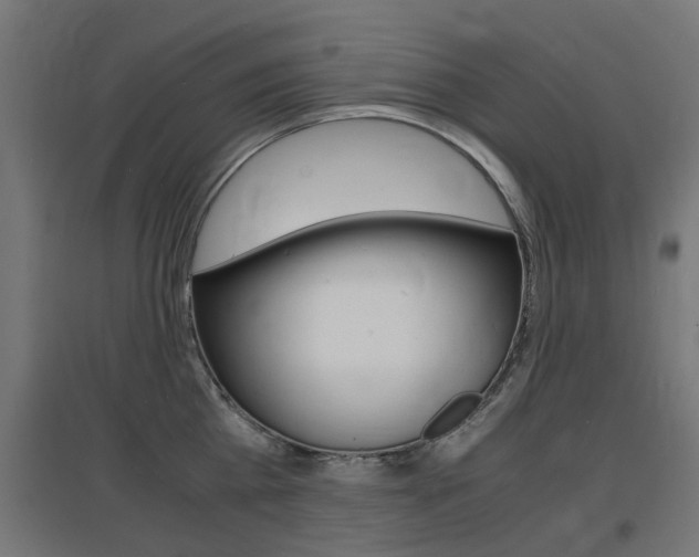 X0000097620809200802290819