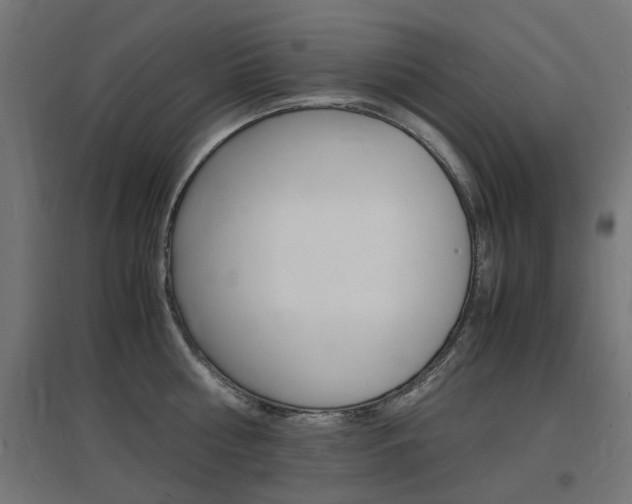 X0000097620810200802290819