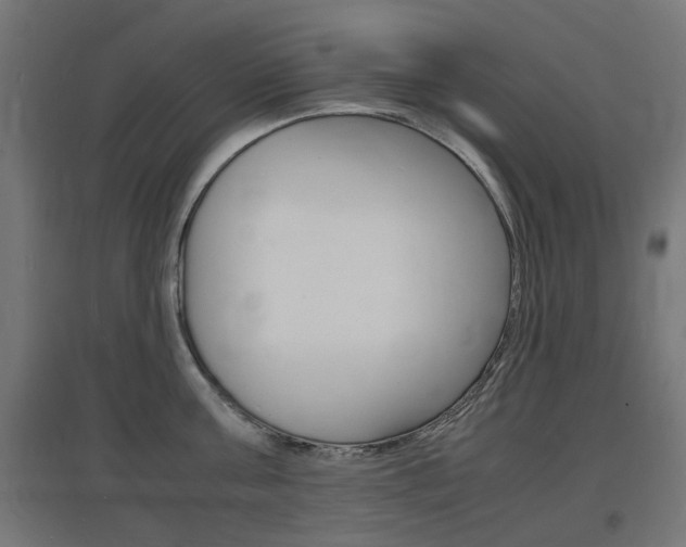 X0000097620811200802290819