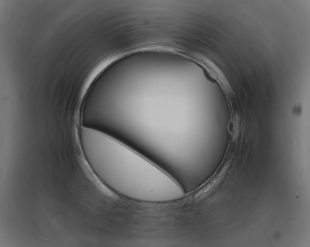 X0000097620812200802290819