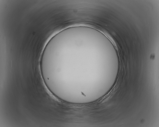 X0000097620813200802290819