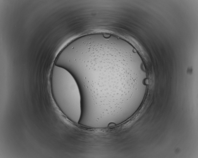 X0000097620814200802290819