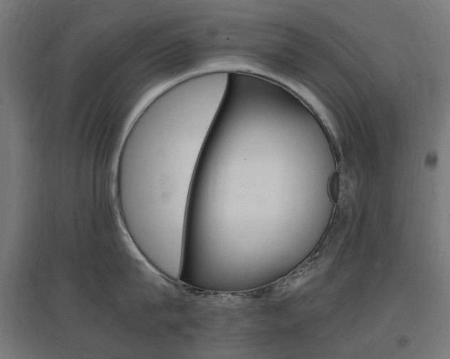 X0000097620815200802290819