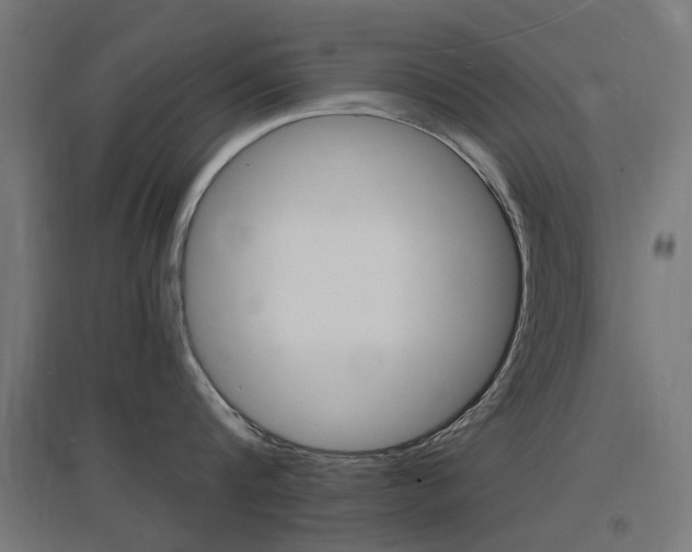 X0000097620816200802290819
