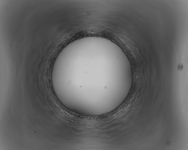 X0000097620817200802290818