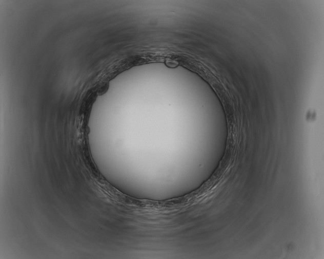 X0000097620818200802290818