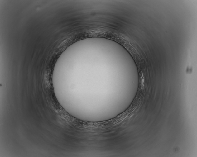 X0000097620819200802290818