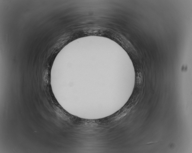 X0000097620820200802290818