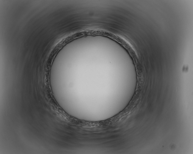 X0000097620823200802290818