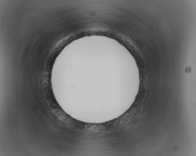X0000097620824200802290818