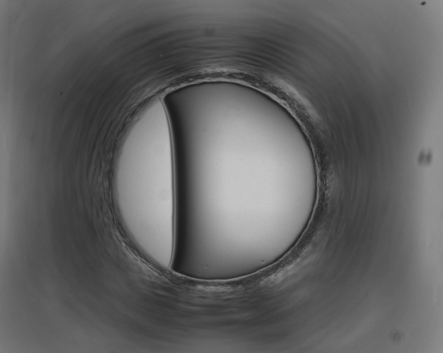 X0000097620825200802290818