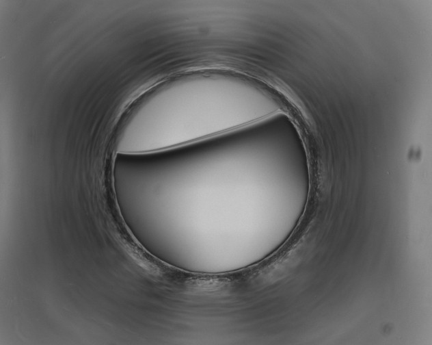 X0000097620826200802290818