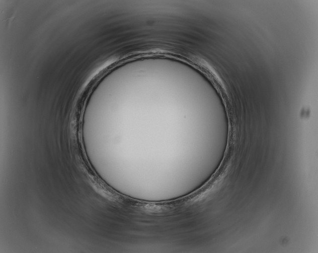 X0000097620827200802290818
