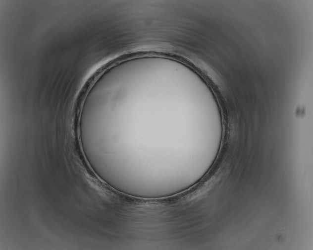 X0000097620830200802290818