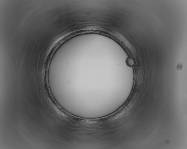 X0000097620831200802290818