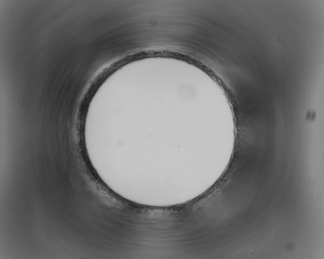 X0000097620832200802290818