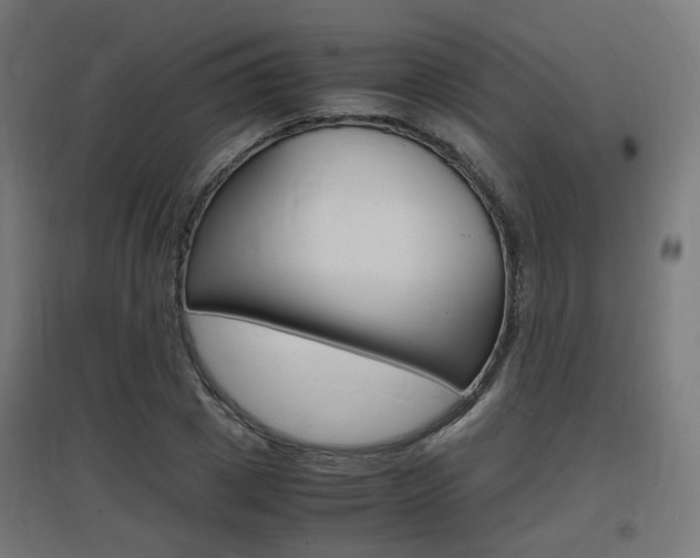 X0000097620833200802290818