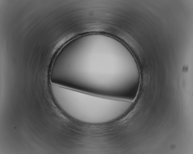 X0000097620834200802290818