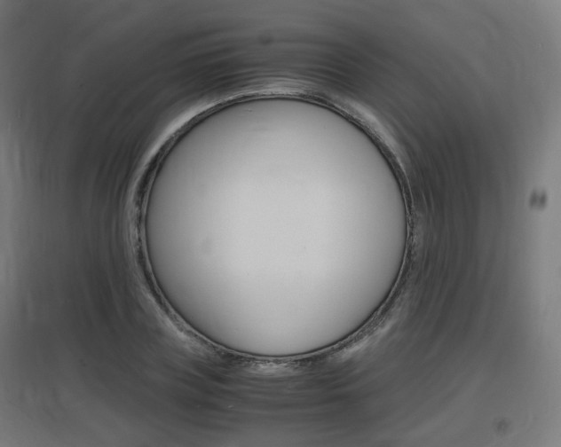 X0000097620835200802290818