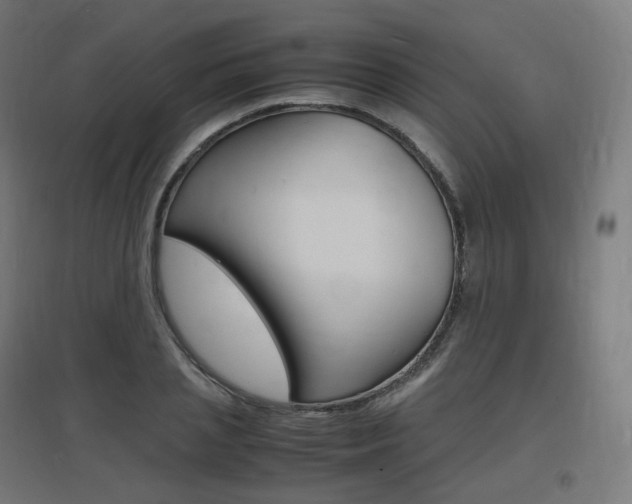 X0000097620837200802290818