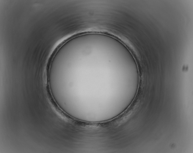 X0000097620838200802290818
