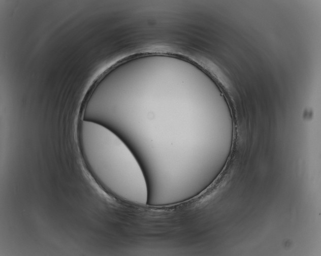 X0000097620839200802290818