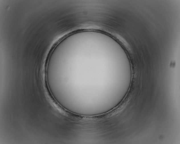 X0000097620840200802290818