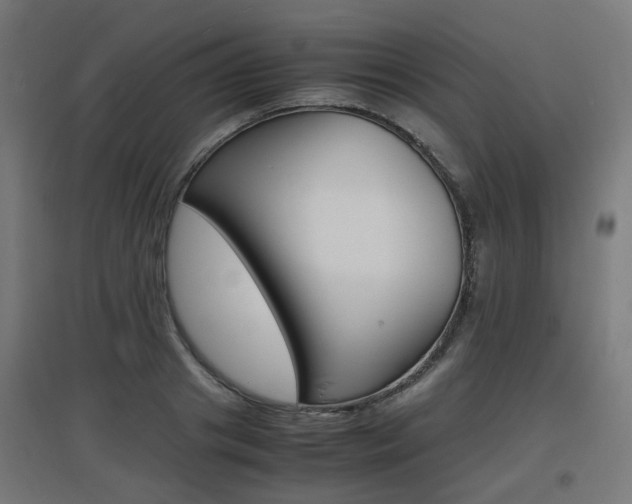 X0000097620841200802290818