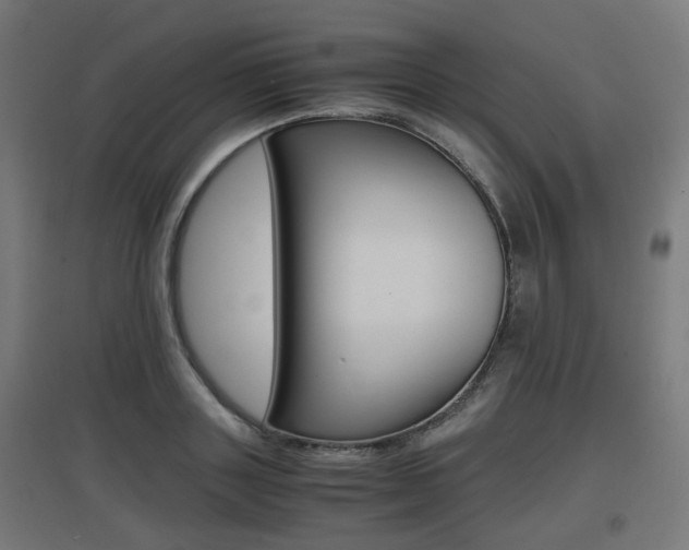 X0000097620843200802290818