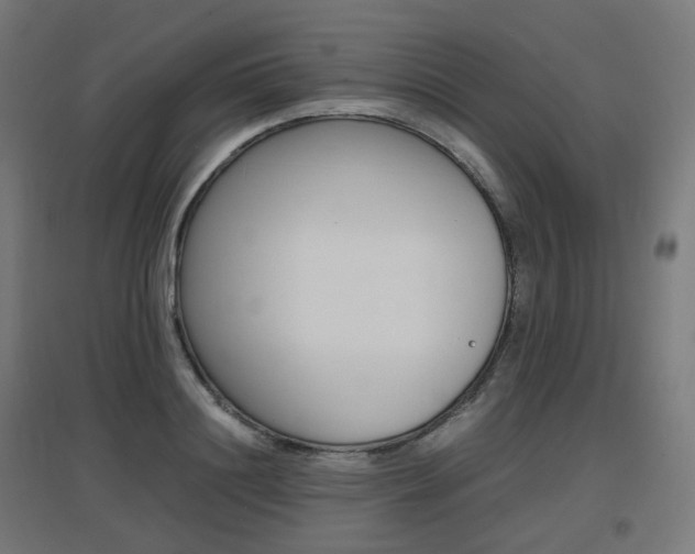 X0000097620844200802290818