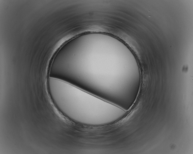 X0000097620845200802290818