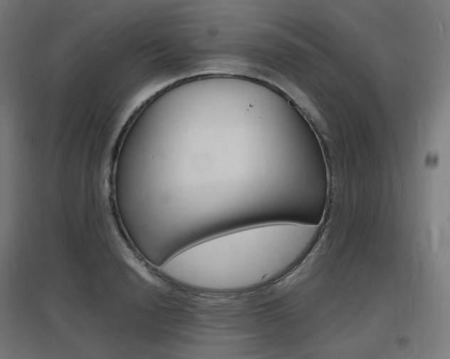 X0000097620846200802290818