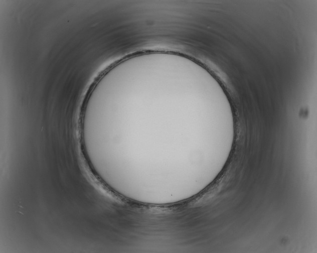 X0000097620848200802290818