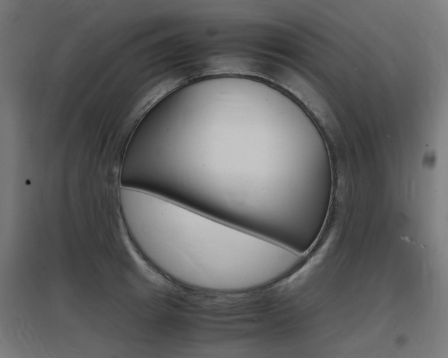 X0000097620849200802290818