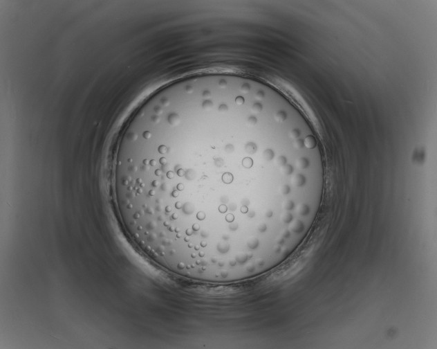 X0000097620851200802290818